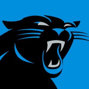 Carolina Panthers Ugly Sweater